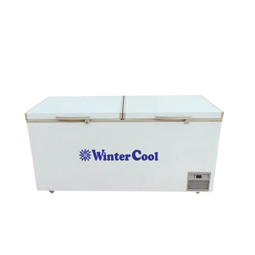 Tủ đông WinterCool