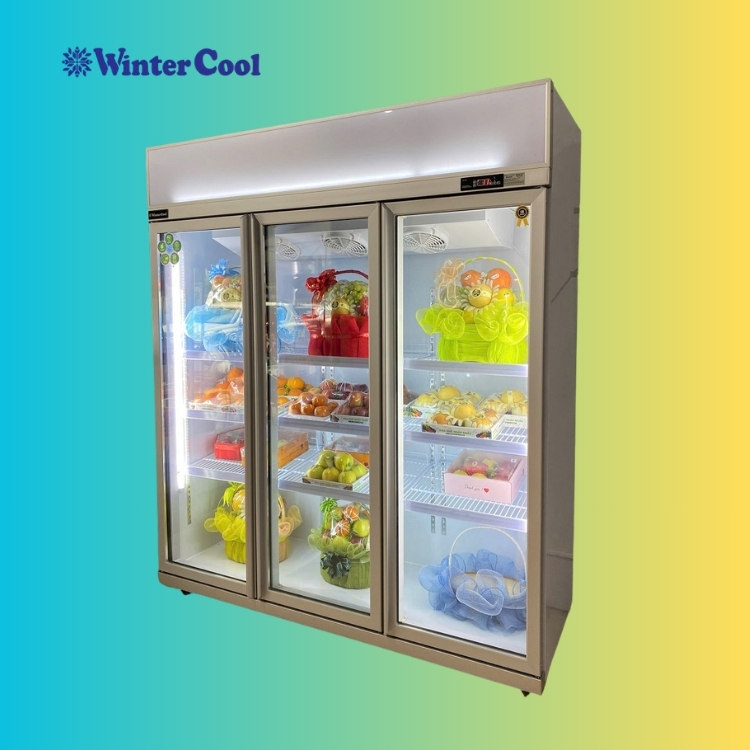 Tủ Mát 3 Cánh Kính 1800 Lít Cao Cấp WinterCool 3D/DC-1800L - Ảnh 3