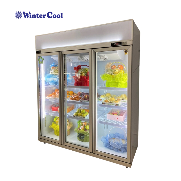 tủ mát 3 cánh wintercool (2)