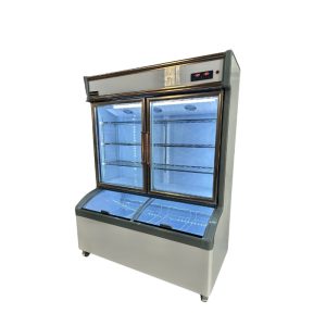Tủ trưng bày 2 chế độ 2 cánh WinterCool 11