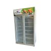 Tủ mát 2 cánh kính 1200 lít WinterCool - Tiêu chuẩn