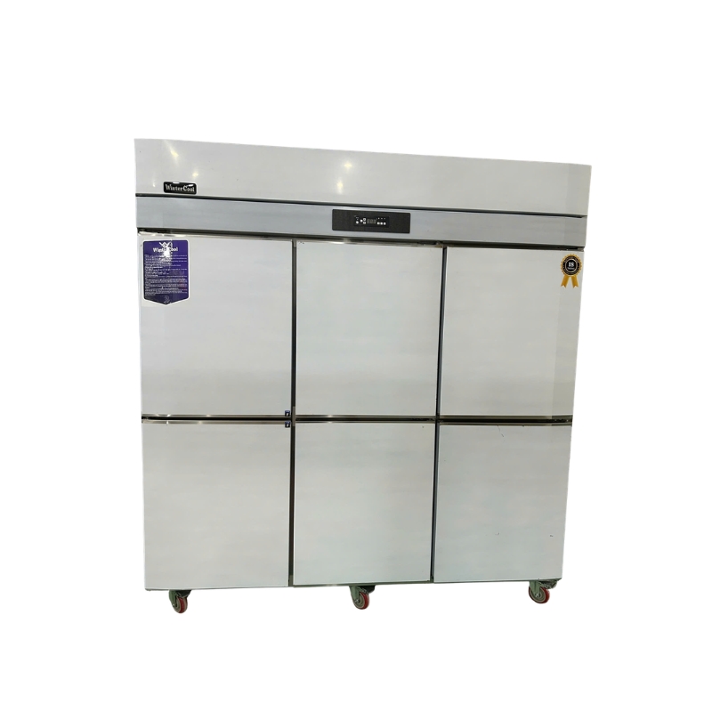 Tủ đông 6 cánh WinterCool - Trực tiếp - Ảnh 2